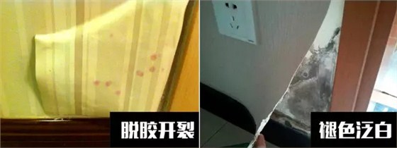 〖家裝資訊臺〗潮濕天氣，房子剪開壁紙全是蘑菇