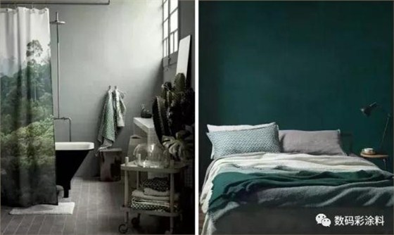 請不要讓你家的墻面裸奔！