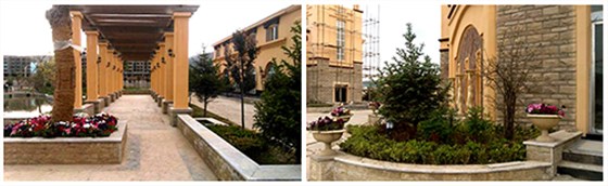 甘肅定西岷縣外墻仿石漆別墅群，筑造“東方威尼斯水城”