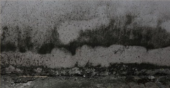 數(shù)碼彩再斬獲深圳小區(qū)56棟40000方外墻涂料翻新工程