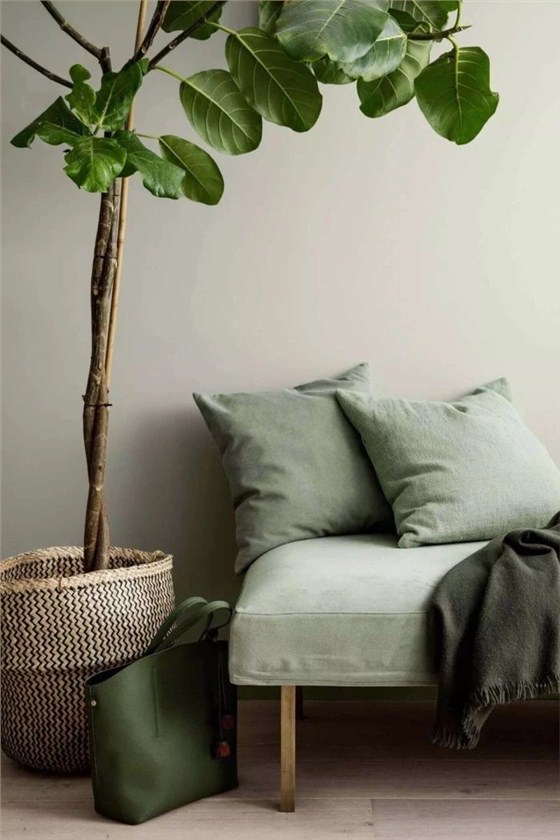 “灰綠色”遠(yuǎn)離壓力，輕松打造輕奢感