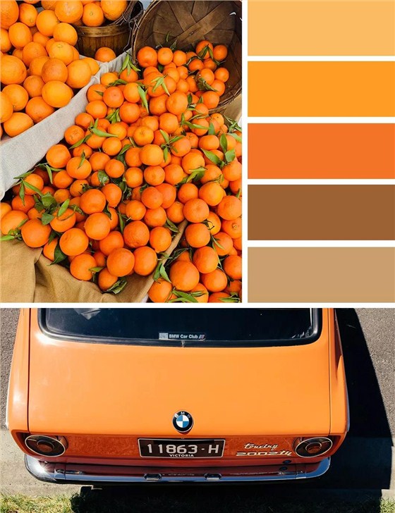 秋日的墻漆搭配，讓我們的生活增加秋日氣息