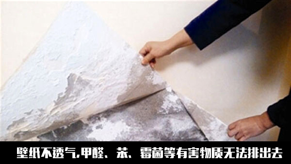 數(shù)碼彩環(huán)保漆