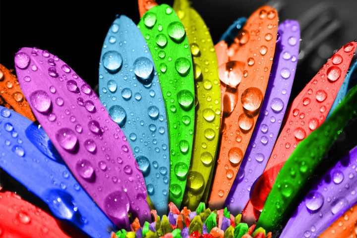 油漆涂料代理商運(yùn)營(yíng)指南，6大突破助你扭轉(zhuǎn)乾坤