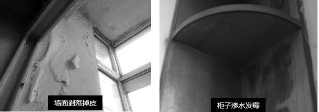 母親節(jié)特輯 ¦ 10天為母親煥愛心居室_福建乳膠漆品牌廠家