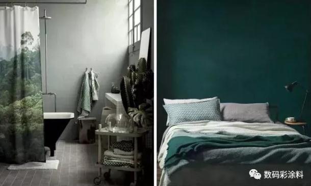 請不要讓你家的墻面裸奔！