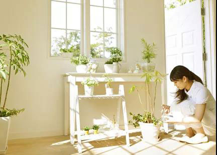 水性木器漆環(huán)保標(biāo)準(zhǔn)全解析4