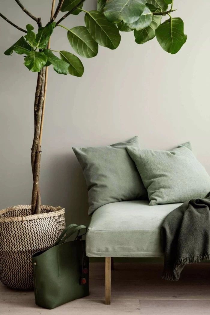 “灰綠色”遠(yuǎn)離壓力，輕松打造輕奢感