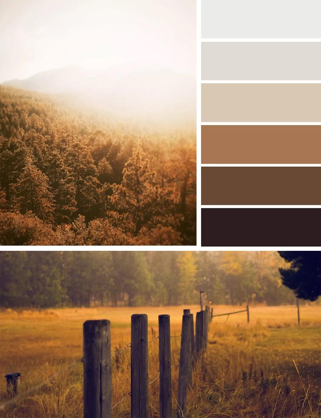 秋日的墻漆搭配，讓我們的生活增加秋日氣息