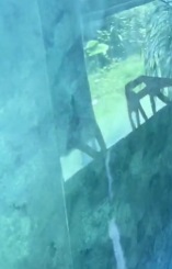 史上最強(qiáng)墻面濾鏡——極亮罩面